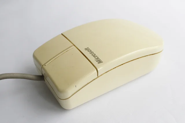 Microsoft Serial-PS/2 Compatible Mouse