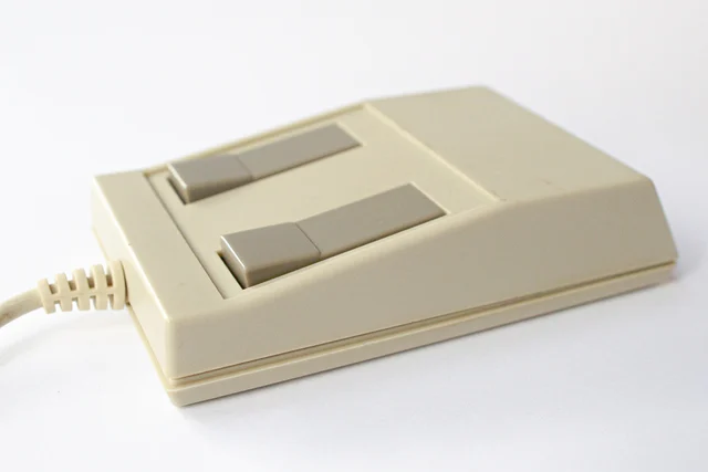 Unknown mouse