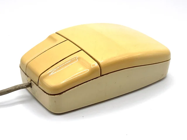 Unknown mouse