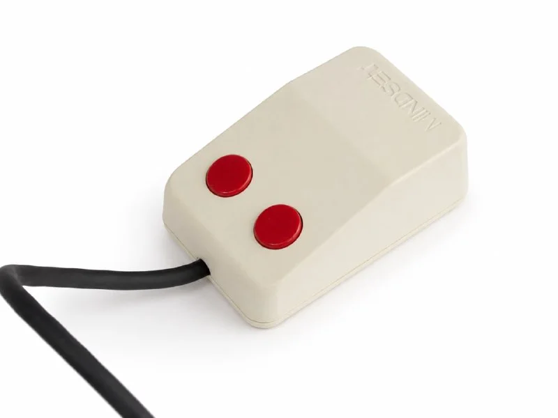 Mindset Mouse
